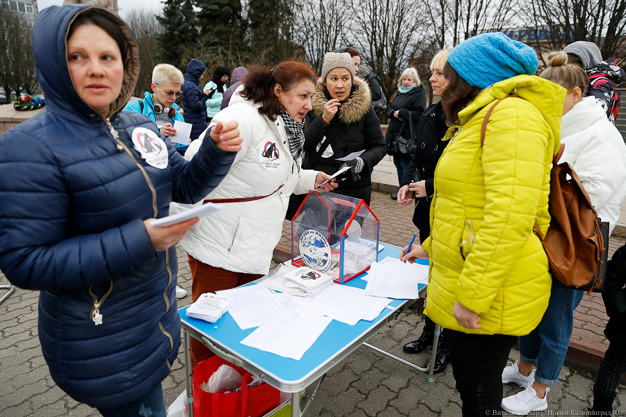 Вместе против живодеров: в Калининграде митинговали в защиту животных