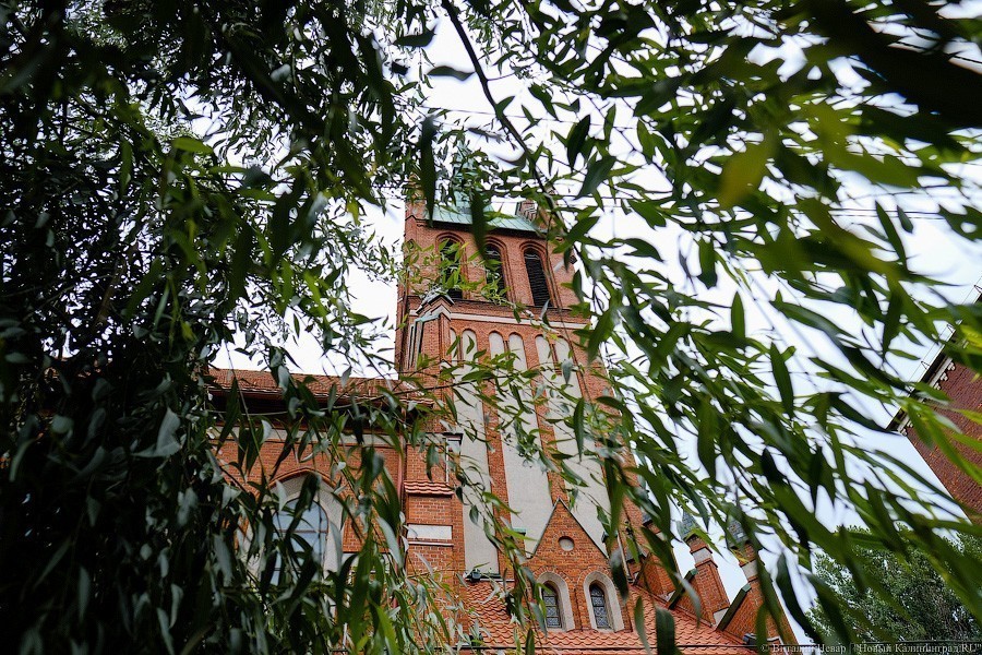 Фото — Виталий Невар, «Новый Калининград»