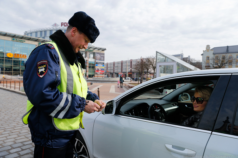 ГИБДД согласовывает возможность предъявления прав и СТС в электронной форме