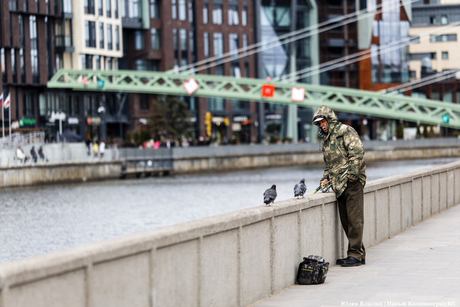 От музея до острова: как в Калининграде открывали Философский мост (фото)