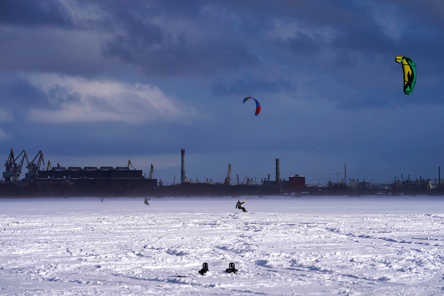 Сноукайтеры вышли на Калининградский залив. Посмотрите, как это красиво