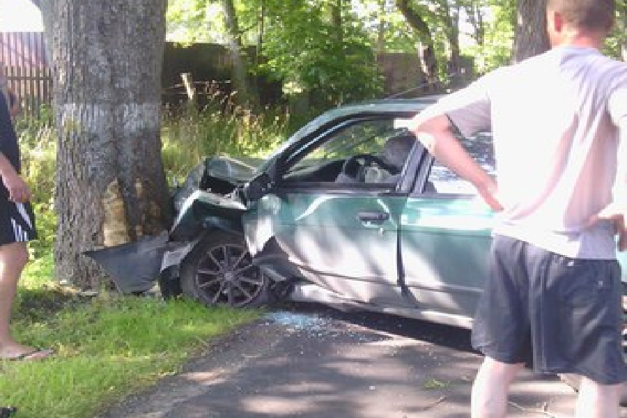 Под Зеленоградском водитель не справился с управлением авто и врезался в дерево (фото)