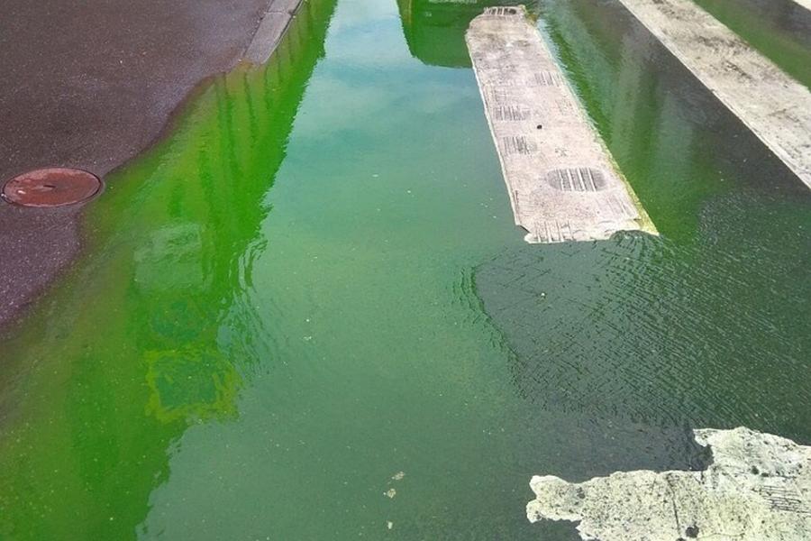 «Калининградтеплосеть» просит жителей Чкаловска сообщать о зеленых лужах