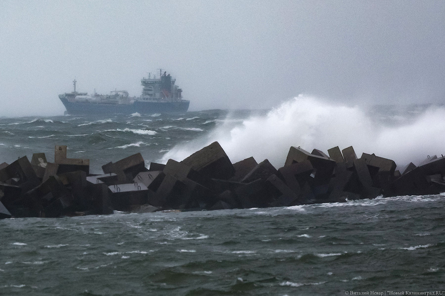 Что нам ветер: фоторепортаж из штормового Балтийска (фото)