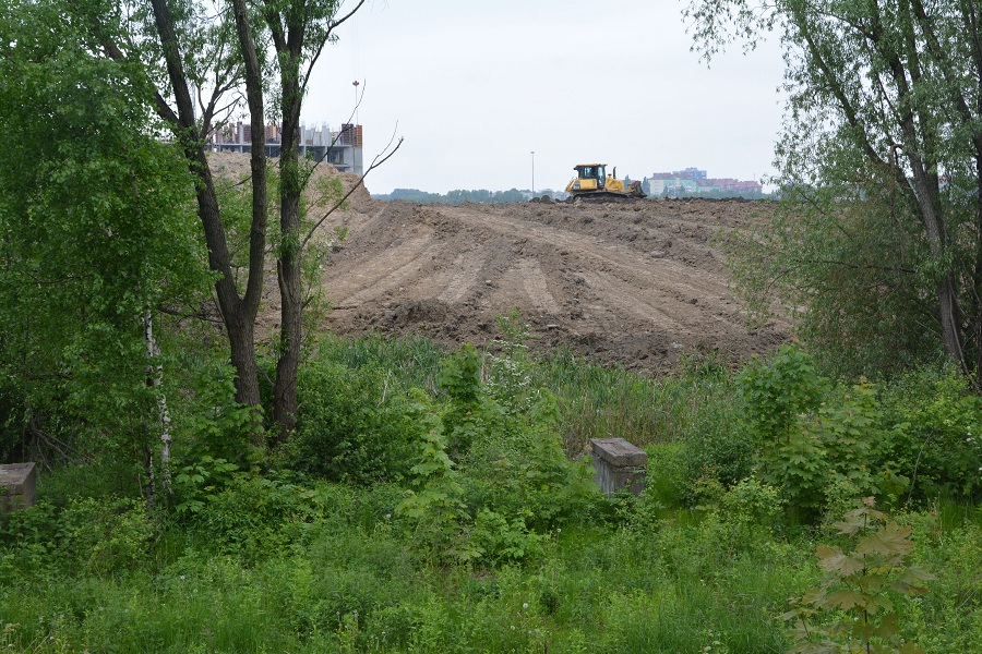 Гора на болоте: в Калининграде засыпают пойму ручья ради строительства жилья (фото)