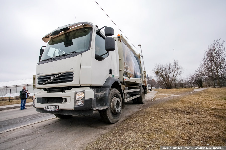 «Друзей не выбрасывают!»: В Калининграде началась акция, посвященная домашним животным