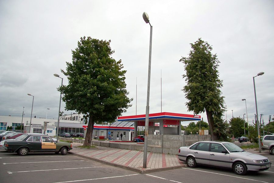 По следам Первой мировой: крупнейшее воинское захоронение закатали под асфальт