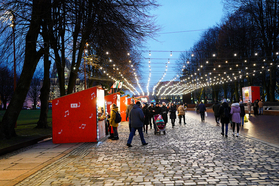 Девочки, записываемся на ободочки: в Калининграде открылась новогодняя ярмарка на острове Канта (фото)