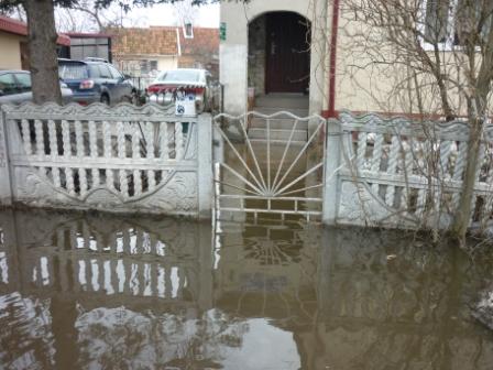"Большая вода": фоторепортаж читателей "Нового Калининграда.Ru"
