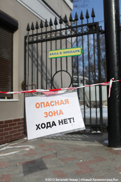 Владелец кафе «Съешь-ка» у входа в зоопарк начал самовольный ремонт фасада (+фото)