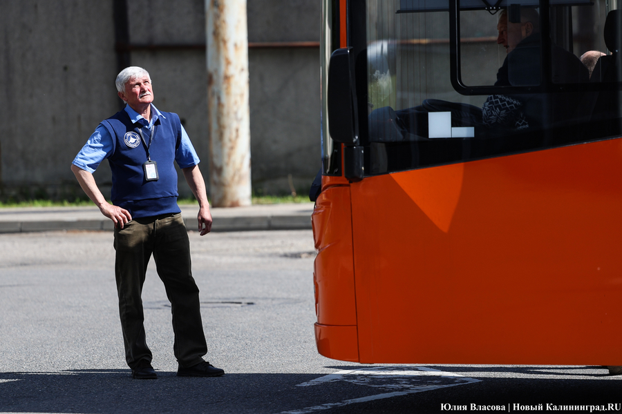 «Не надо искать особенностей»: в Калининграде на линию выпустили новые ЛиАЗы (фото)