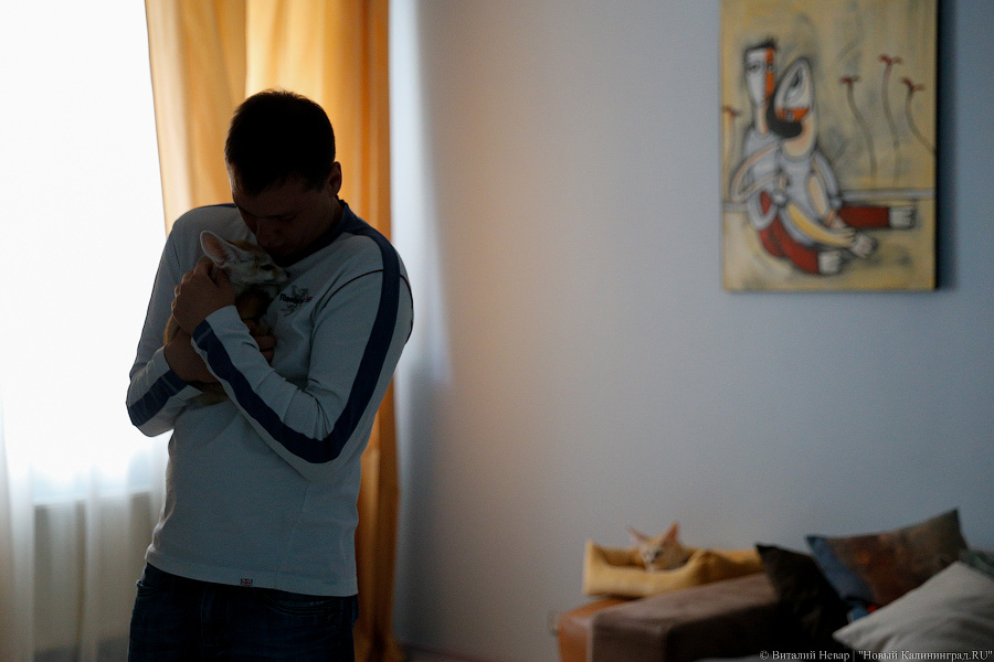 Длинноухое фыр-фыр-фыр: пара фенеков поселилась в Калининграде