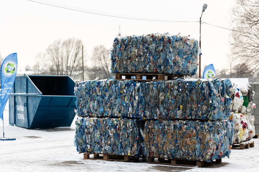 «Ничего на свалку не уйдет»: в Калининграде стали раздельно собирать 14 видов отходов (фото)