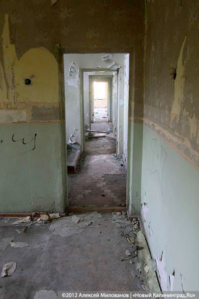 «Куда ушли детские сады»: фоторепортаж «Нового Калининграда.Ru»