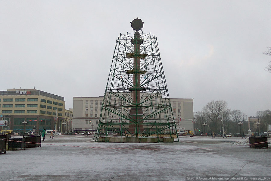 2 декабря: монтаж новогодней ёлки на площади Победы в Калининграде