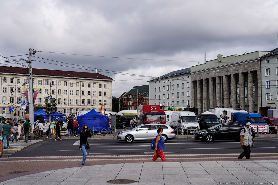 Базар-вокзал: как проходит сельхозярмарка на площади Победы в Калининграде