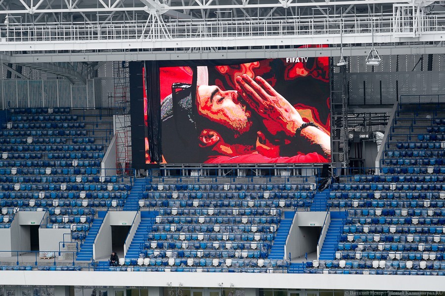 Стадион «Калининград» предлагает фотосессии на пустой арене