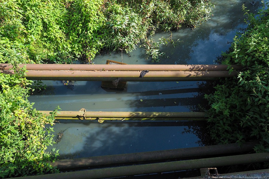Инспекторы обнаружили более 130 незаконных выпусков стоков в 4 водоема Калининграда
