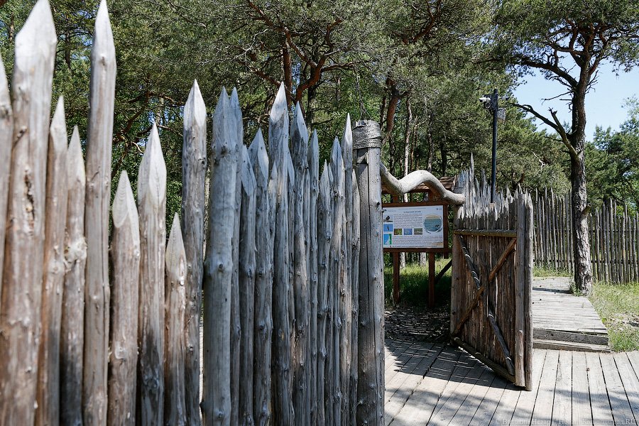 Олаф и его хирд: деревня викингов на Куршской косе стала обитаемой