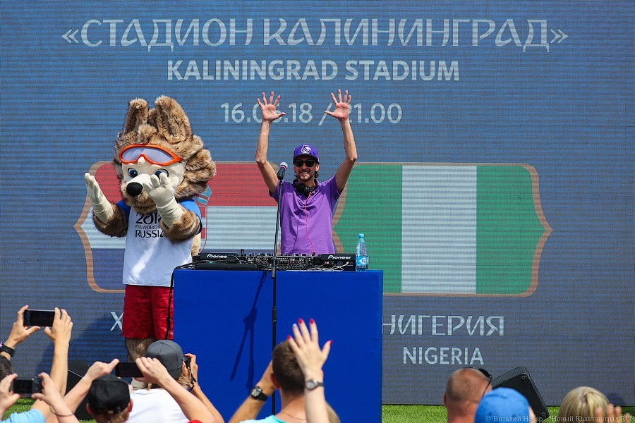 Власти Советска: талисман ЧМ-2018 перепутали с волком Забиякой