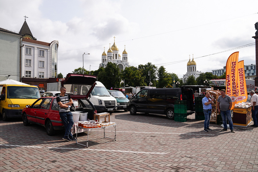Базар-вокзал: как проходит сельхозярмарка на площади Победы в Калининграде