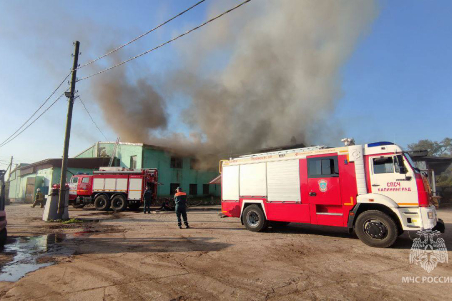 МЧС: под Полесском произошел крупный пожар на пилораме