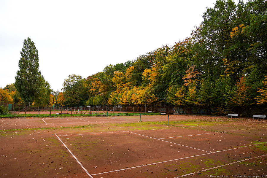 Увидеть в последний раз: осень на стадионе «Спартак», который хотят застроить (фото)