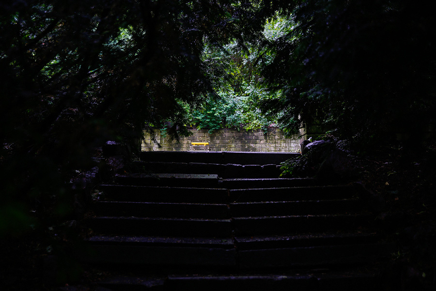 На неведомых дорожках: дендропарк калининградского Экоцентра