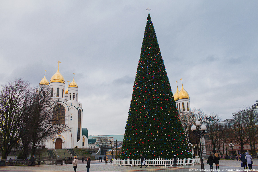 Штрафы, налоги, санкции, выплаты: нововведения января