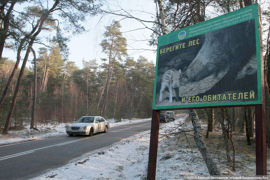 Фото из архива «Нового Калининграда.Ru»