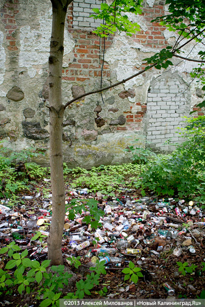 Легенды и лягушки: кирха в поселке Ново-Московское обрастает мхом и преданиями