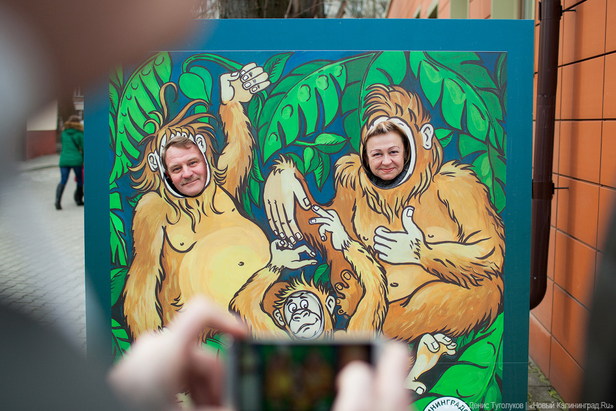 Продвинутое средневековье: как люди и звери Масленицу отмечали