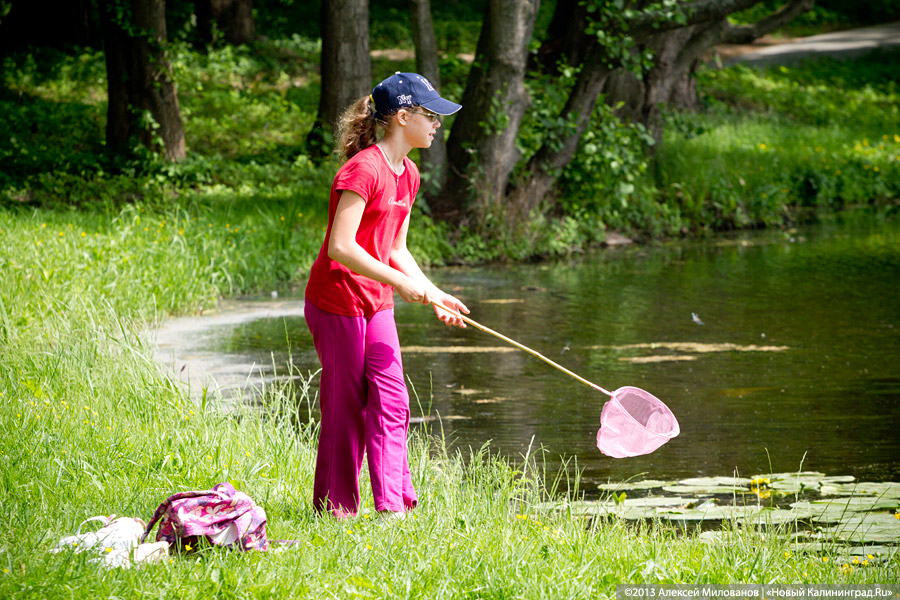 Лень и окурки: Зеленоградск накануне открытия пляжного сезона