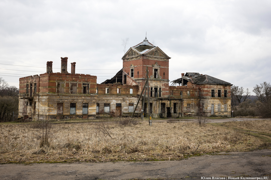 Фото: Юлия Власова / Новый Калининград