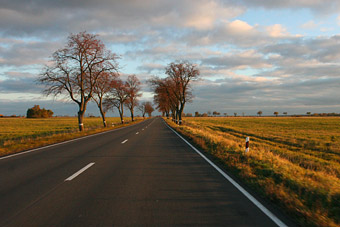 АСМАП: за три года 7200 водителей грузовиков останутся без работы