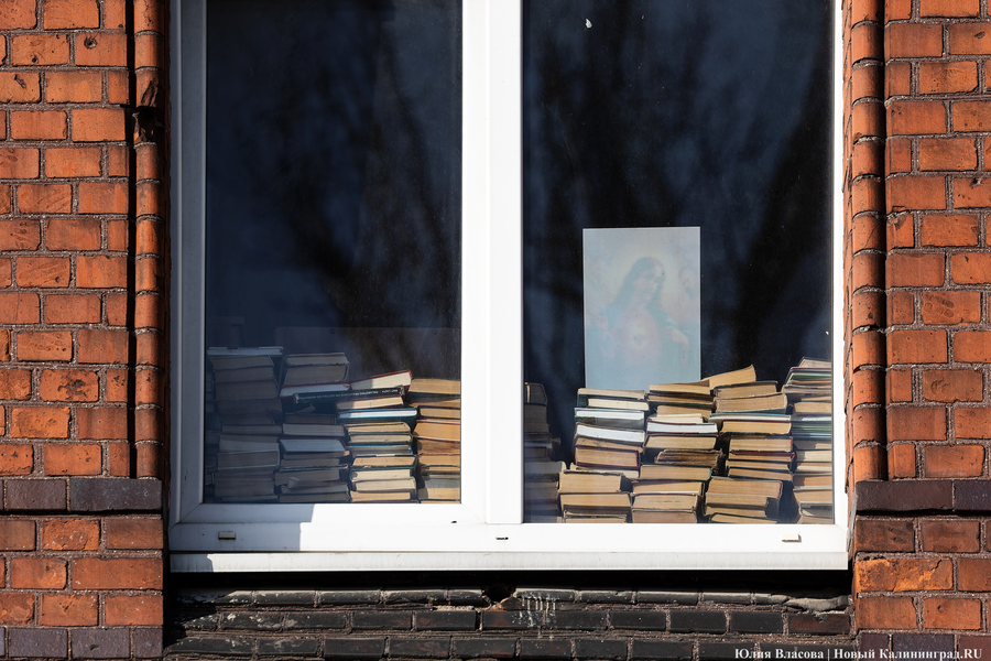 След Розенау: как выглядит заброшенный мясокомбинат на Аллее Смелых (фото)