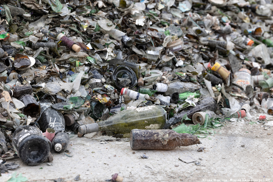 «Стихией управлять не научились»: как глава Минприроды РФ понюхал воздух в Круглово (фото)