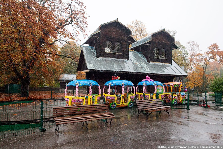 Звериные тропы: прогулка по зоопарку