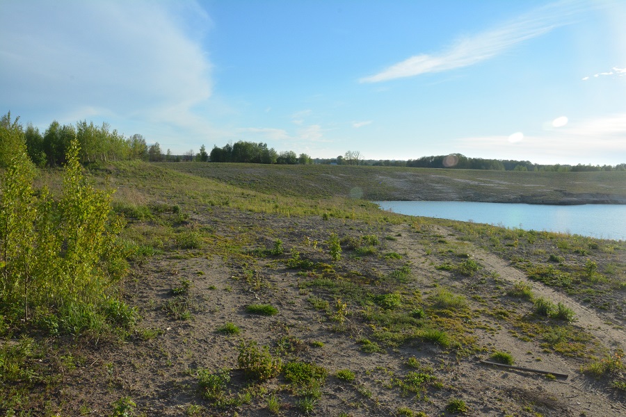 Озеро вместо леса: как выглядит после рекультивации карьер, где вырубили 60 га (фото)