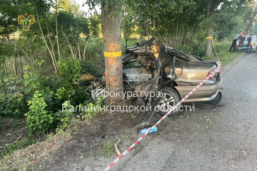 В ДТП в Зеленоградском районе погибли три человека