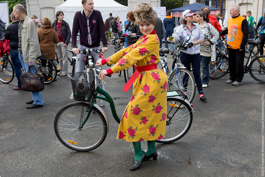 Распогодилось: что было на четвёртом калининградском «Дне колеса» (видео)