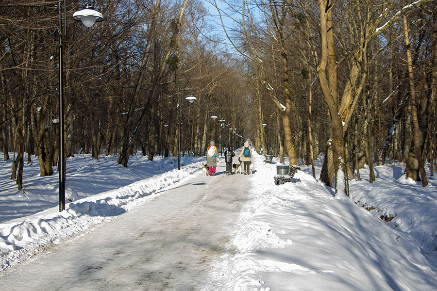 «Качели» между слабыми и сильными морозами: прогноз погоды на выходные и далее