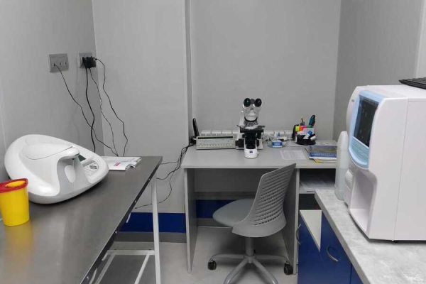 В  Калининграде открылась новая государственная ветеринарная клиника