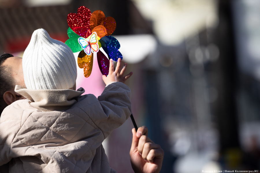 За два года в Калининградской области численность детей выросла на 2,2 тыс. человек