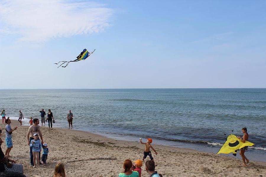 Фото предоставлено пресс-службой национального парка «Куршская коса»