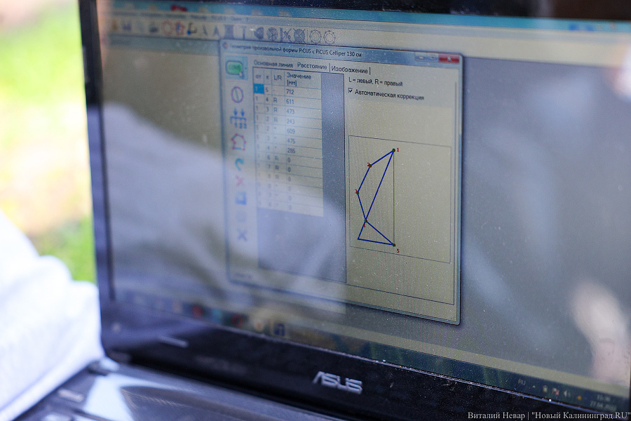 Правило «небуравчика»: власти Калининграда презентовали томограф для деревьев (фото)