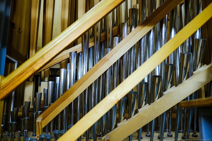 Виталий Невар / Новый Калининград