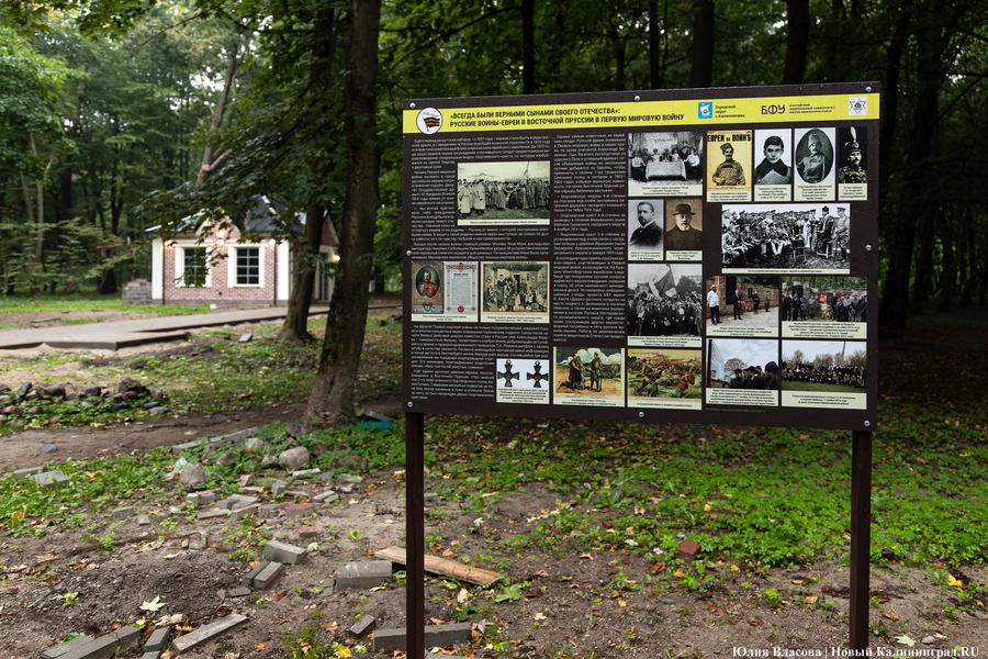 В Калининграде начали благоустраивать старое еврейское кладбище (фото)