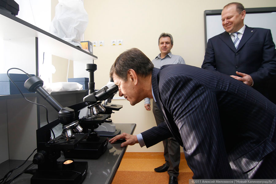 "Второе пришествие": фоторепортаж "Нового Калининграда.Ru"