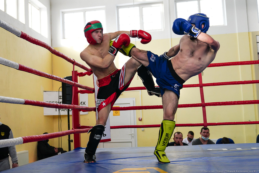 «Ударный» день: в Калининграде прошел чемпионат области по кикбоксингу